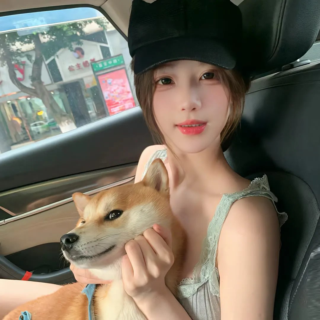 高兴逮笨贼